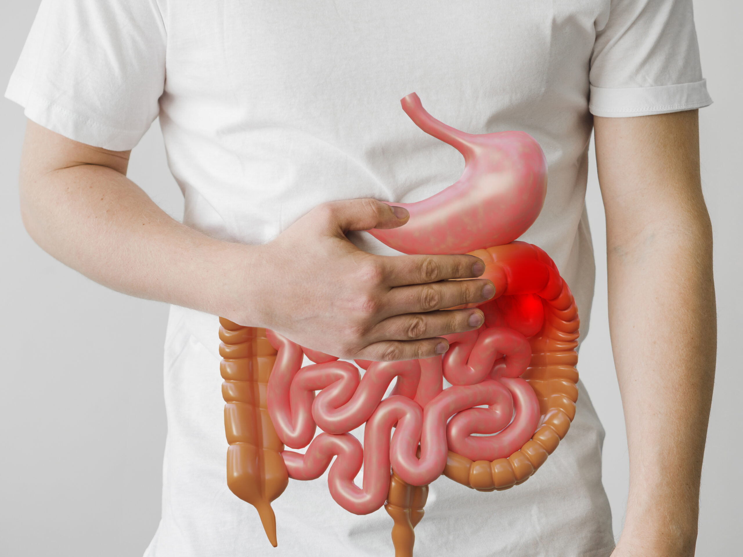 Gallbladder