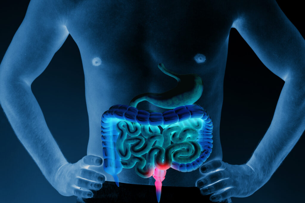 Gallbladder