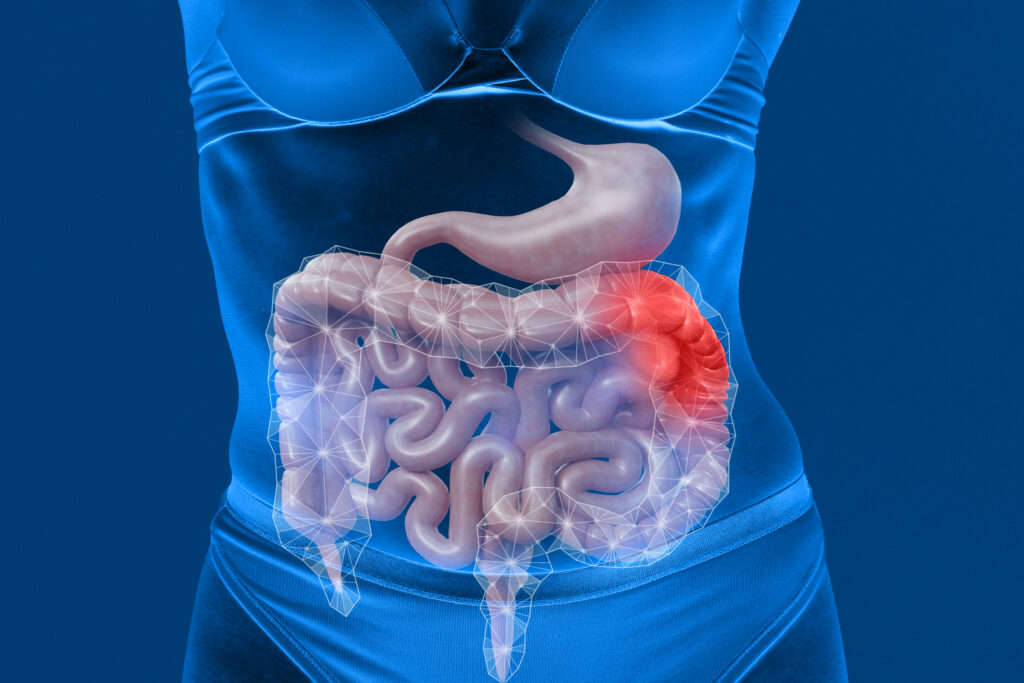 Gallbladder